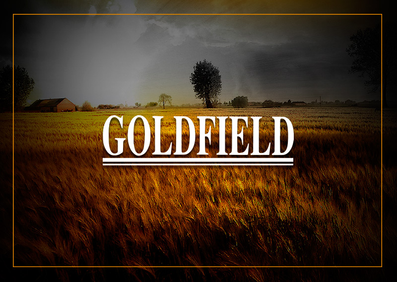 Goldfield Portada Goldfield Portada