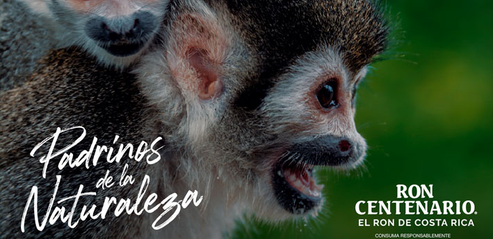 blog-roncentenario-imagen-padrinosdelanaturaleza