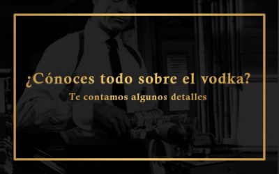 DESCUBRE TODO SOBRE EL VODKA