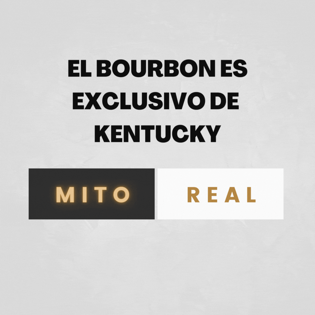 post para blogs (2) Bluecoat Range Cabecera de página