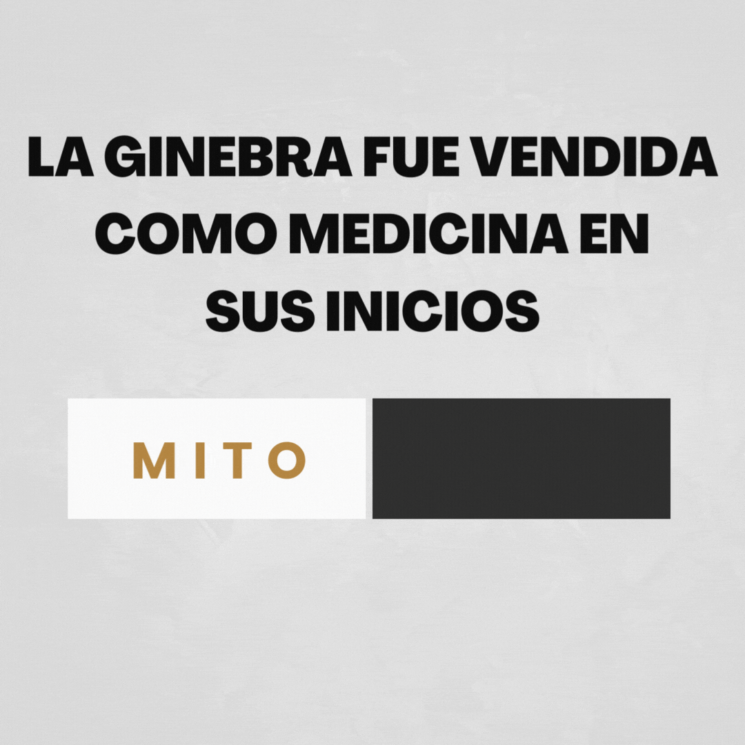 post para blogs (6) Bluecoat Range Cabecera de página