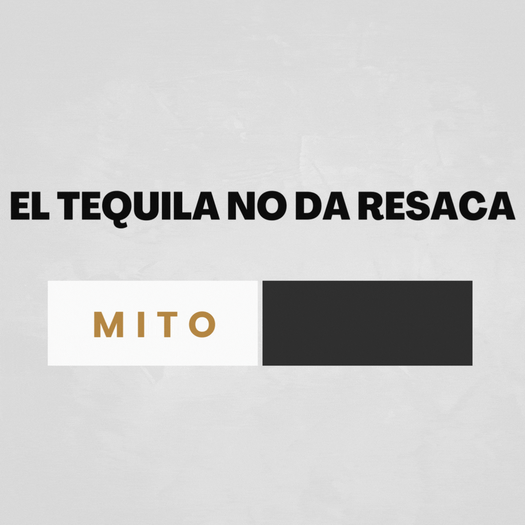 post para blogs (7) Bluecoat Range Cabecera de página