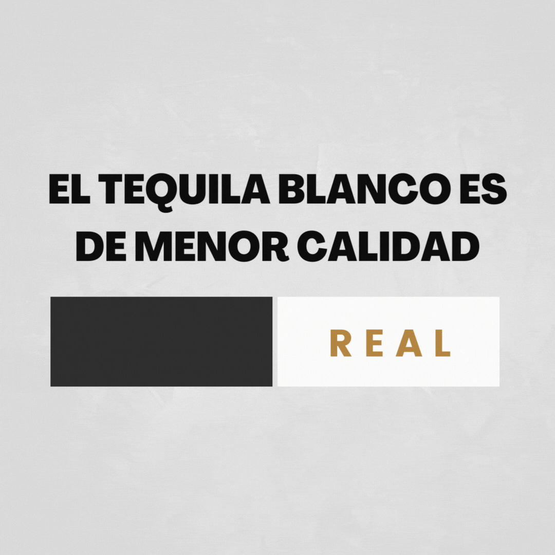 post para blogs Bluecoat Range Cabecera de página