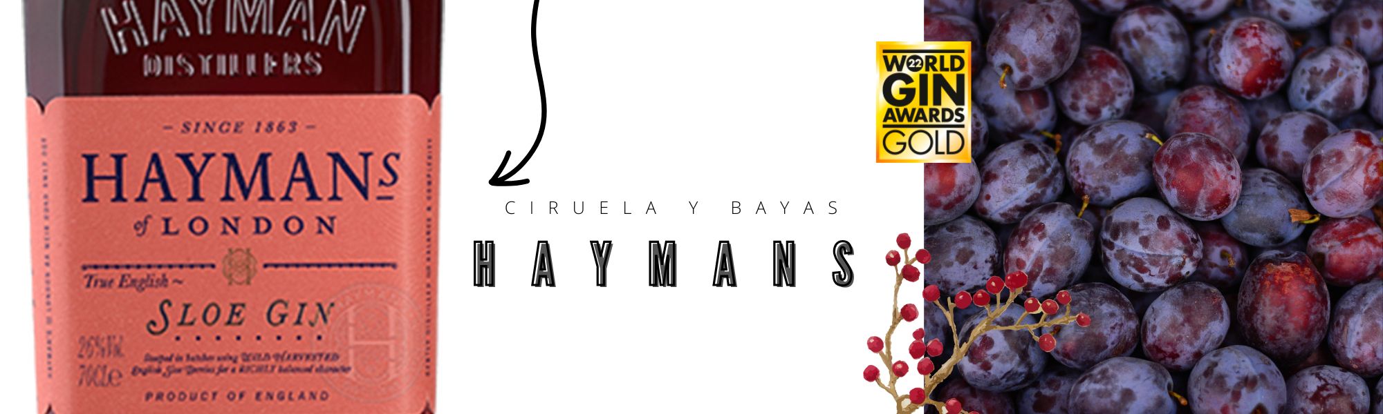 ginebra_premium_haymans Mejor ginebra premium para navidad
