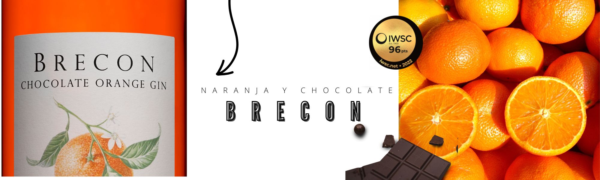 ginebre_premium_penderyn ver ginebra Brecon