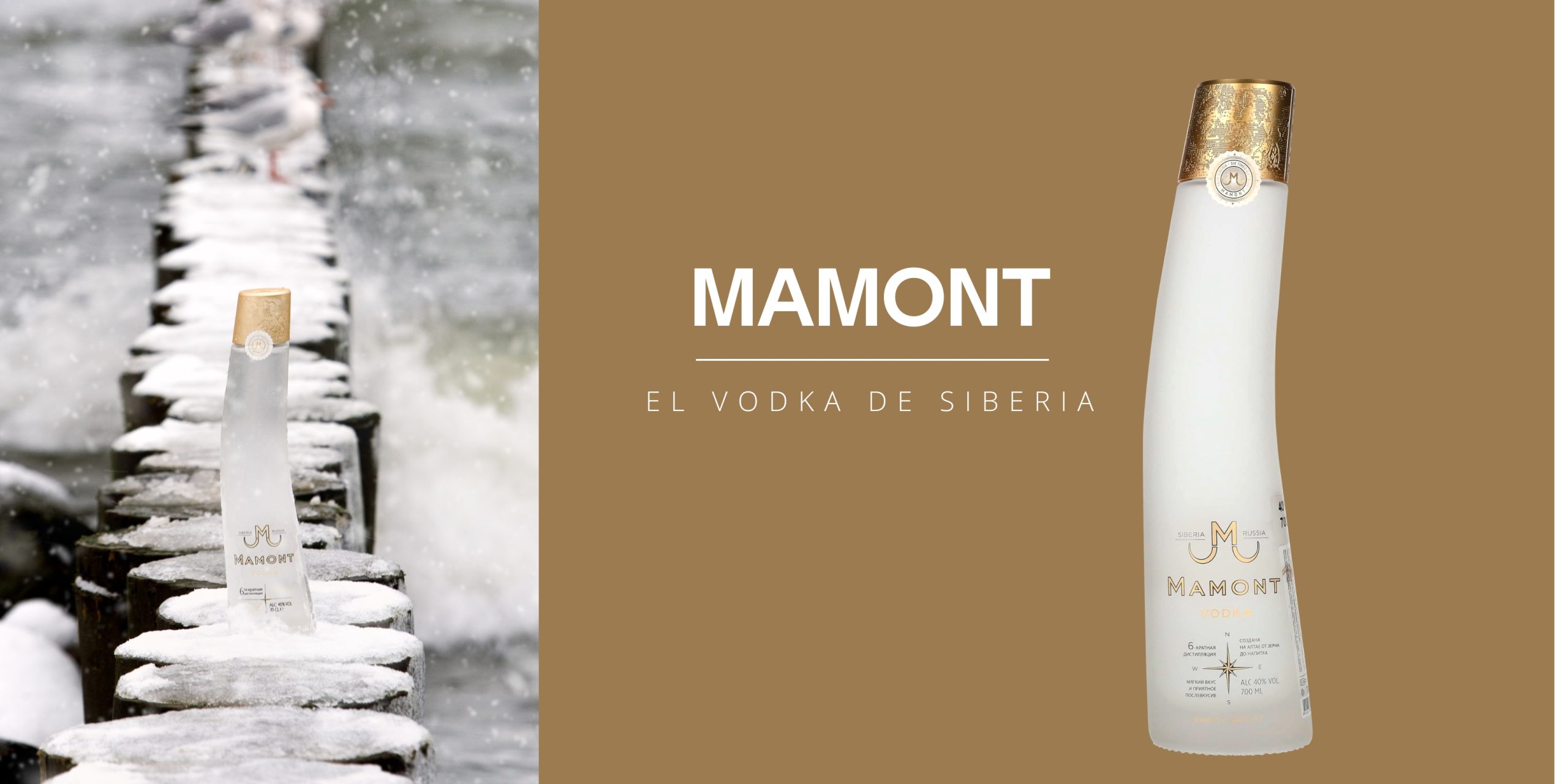 BANNER PARA MAILINGS (1)