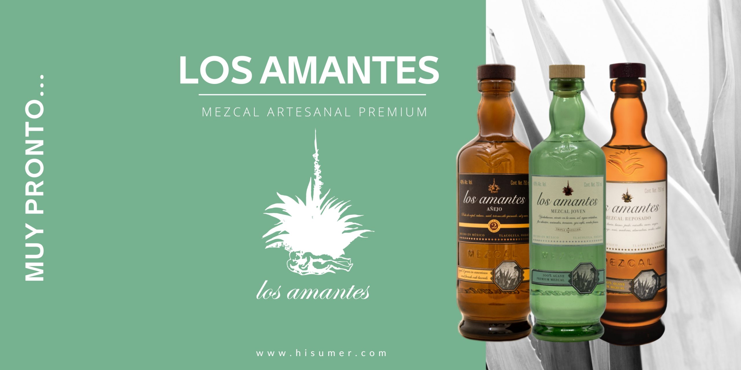 BANNER PARA MAILINGS (4)