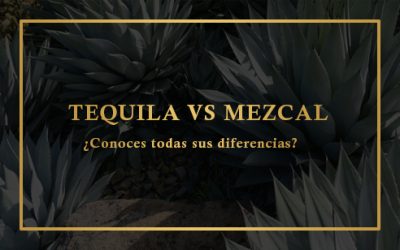 DIFERENCIAS DEL TEQUILA Y EL MEZCAL